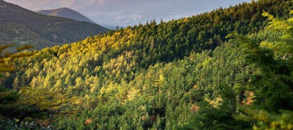 Terreno T10 em Barberino di Mugello, Italy N.º 371780 15