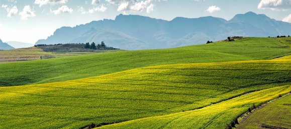 Terreno T10 em Barberino di Mugello, Italy N.º 371780 11