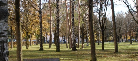 Oficina de 2 habitaciónes en Wels, Austria No. 50040 2