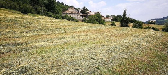 20-Zimmer Haus in Langhirano, Italy, Nr. 69558 17