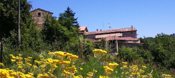 20-Zimmer Haus in Langhirano, Italy, Nr. 69558 6