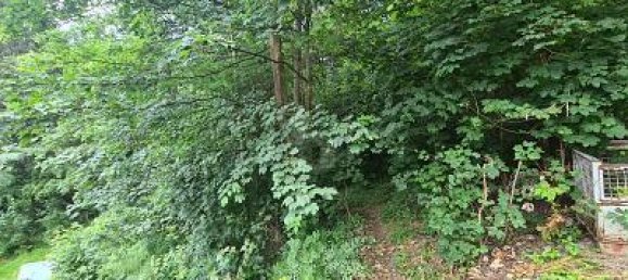 Grundstück in Kronach, Germany 1802m², Nr. 233520 2