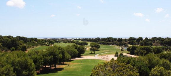 2 bedrooms Apartment in Pilar de la Horadada, Spain No. 14291 23