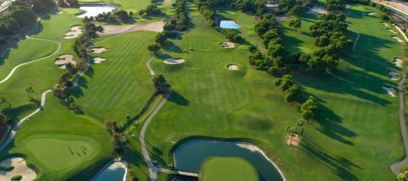 2 bedrooms Apartment in Pilar de la Horadada, Spain No. 14291 24