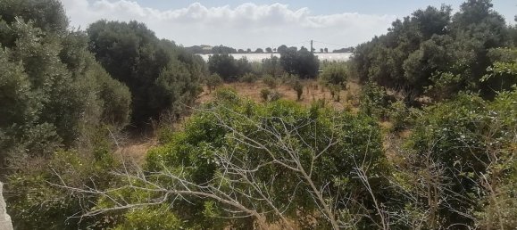 5 rooms Villa in Ispica, Italy No. 68044 14