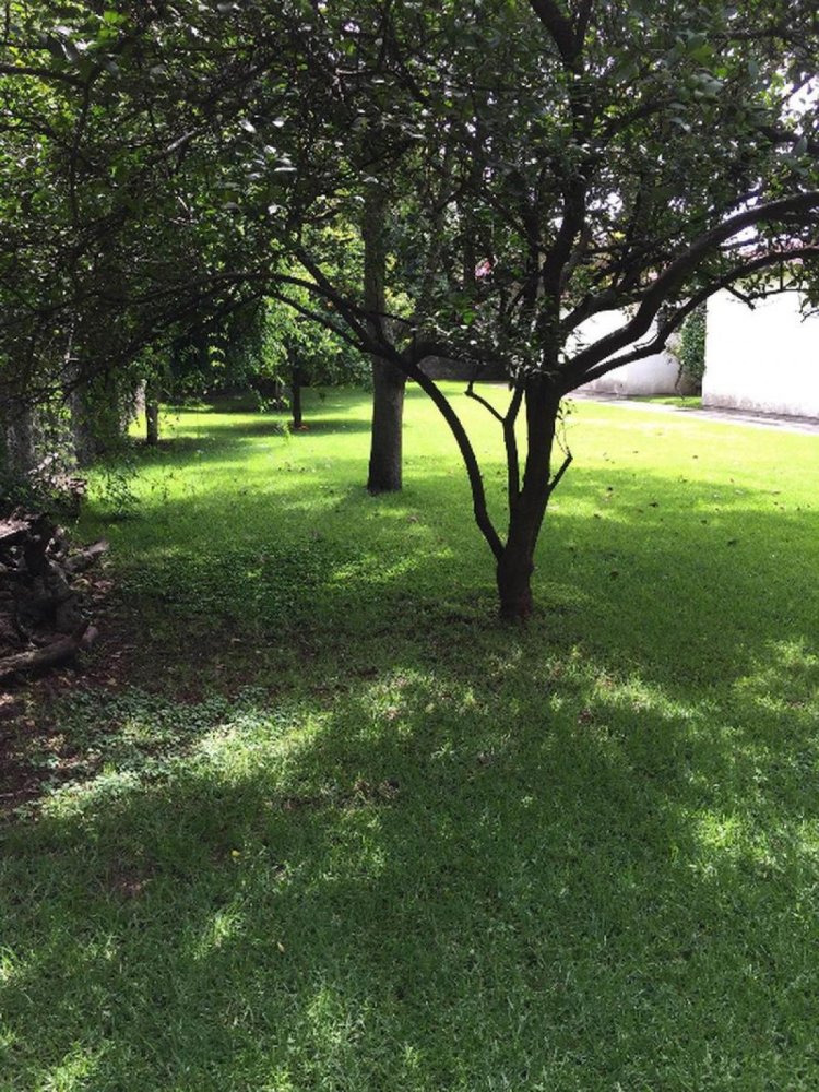 4 chambres Maison à Mexicali, Mexico No. 148153