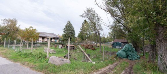 Terrain à Matzendorf-Holles, Austria No. 28112 2