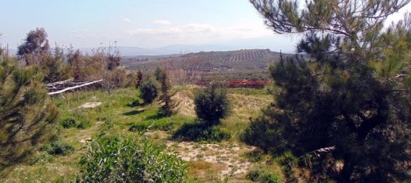 1-Zimmer Property in Heraklion, Greece, Nr. 4835 2