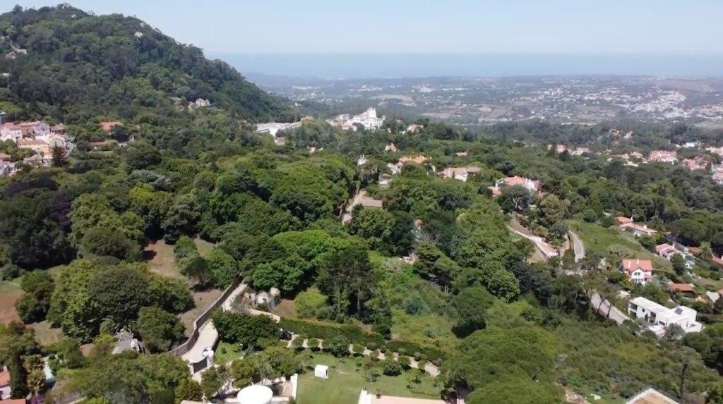  قطعة أرض في Sintra, Portugal رقم 133445