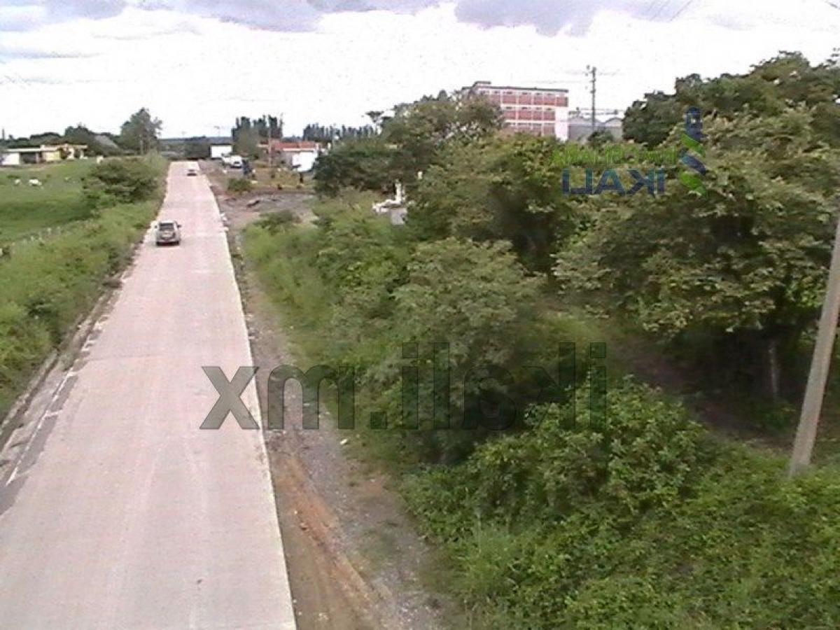  قطعة أرض في Veracruz, Mexico رقم 206993