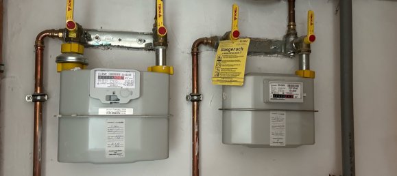 Таунхаус с 9 комнатами в Ремс-Мур, Германия № 260912 11