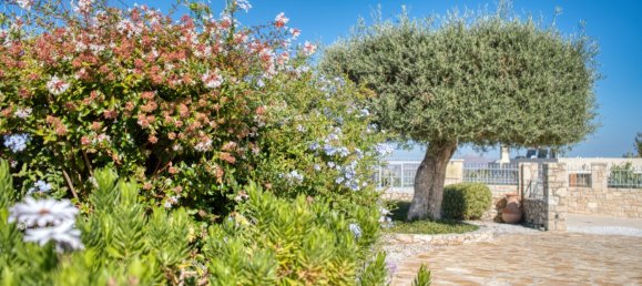 3 bedrooms Commercial property in Chania, Greece No. 8390 15