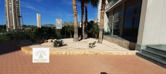 2 bedrooms Apartment in Benidorm, Spain No. 90120 5