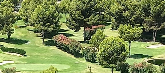 2 bedrooms Apartment in Benidorm, Spain No. 90120 18