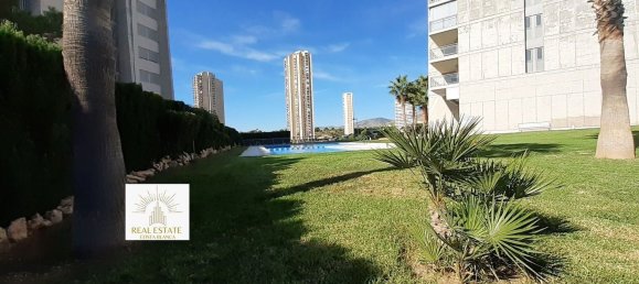2 bedrooms Apartment in Benidorm, Spain No. 90120 6