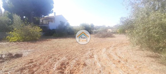 Grundstück in Sao Bras de Alportel, Portugal 2700m², Nr. 73402 9