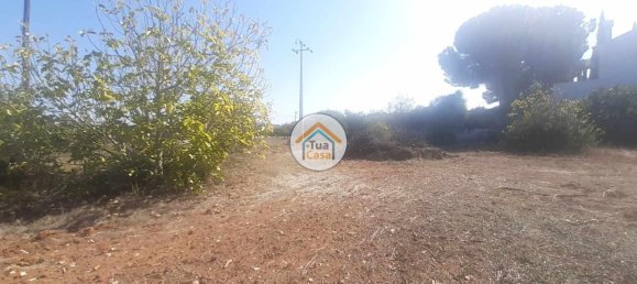 Grundstück in Sao Bras de Alportel, Portugal 2700m², Nr. 73402 3