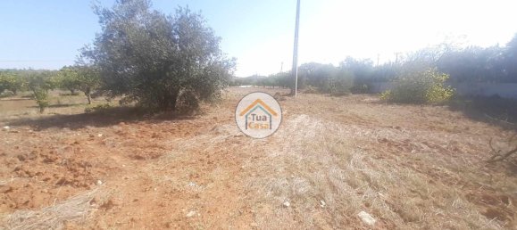 Grundstück in Sao Bras de Alportel, Portugal 2700m², Nr. 73402 6