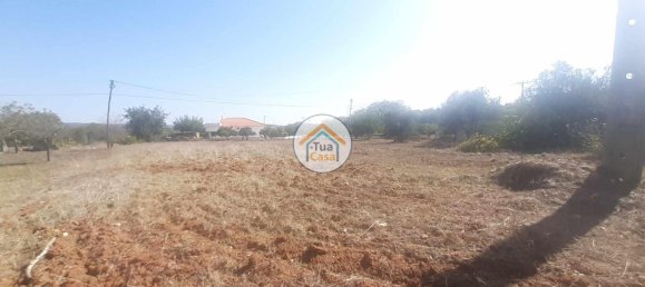 Grundstück in Sao Bras de Alportel, Portugal 2700m², Nr. 73402 8