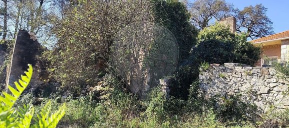 Студия в Сан Мамеде, Португалия № 76689 21