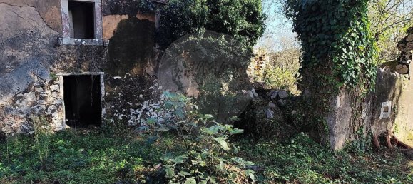 Студия в Сан Мамеде, Португалия № 76689 13