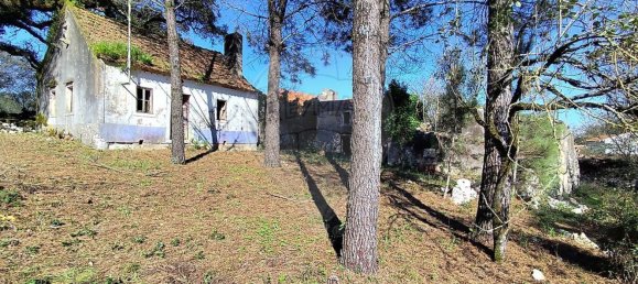 Студия в Сан Мамеде, Португалия № 76689 17