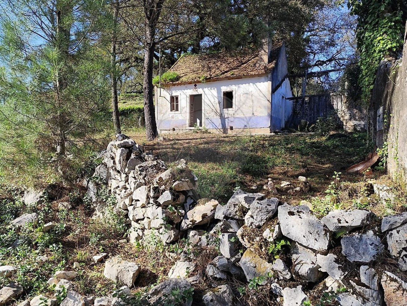 Студия в Сан Мамеде, Португалия № 76689