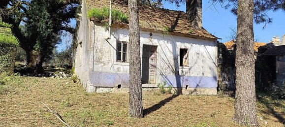 Студия в Сан Мамеде, Португалия № 76689 25