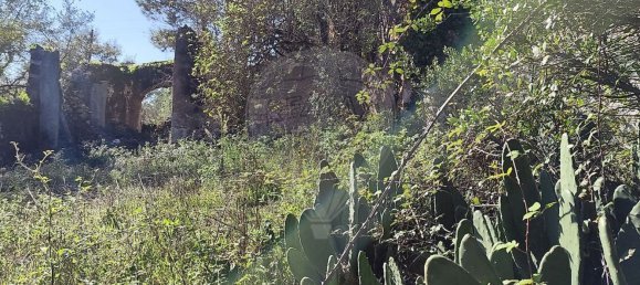 Студия в Сан Мамеде, Португалия № 76689 24