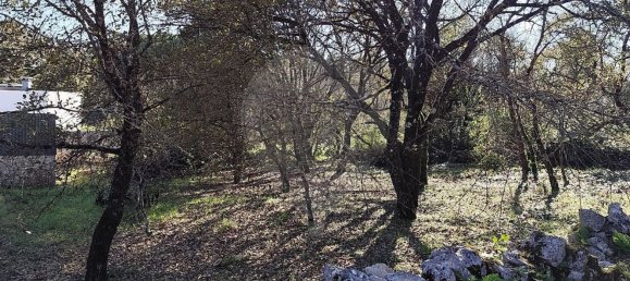 Студия в Сан Мамеде, Португалия № 76689 27