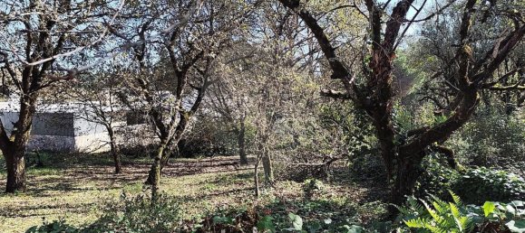 Студия в Сан Мамеде, Португалия № 76689 26