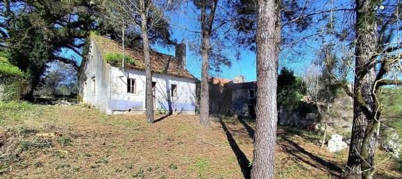 Студия в Сан Мамеде, Португалия № 76689 4