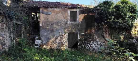 Студия в Сан Мамеде, Португалия № 76689 11