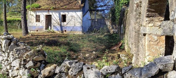 Студия в Сан Мамеде, Португалия № 76689 3