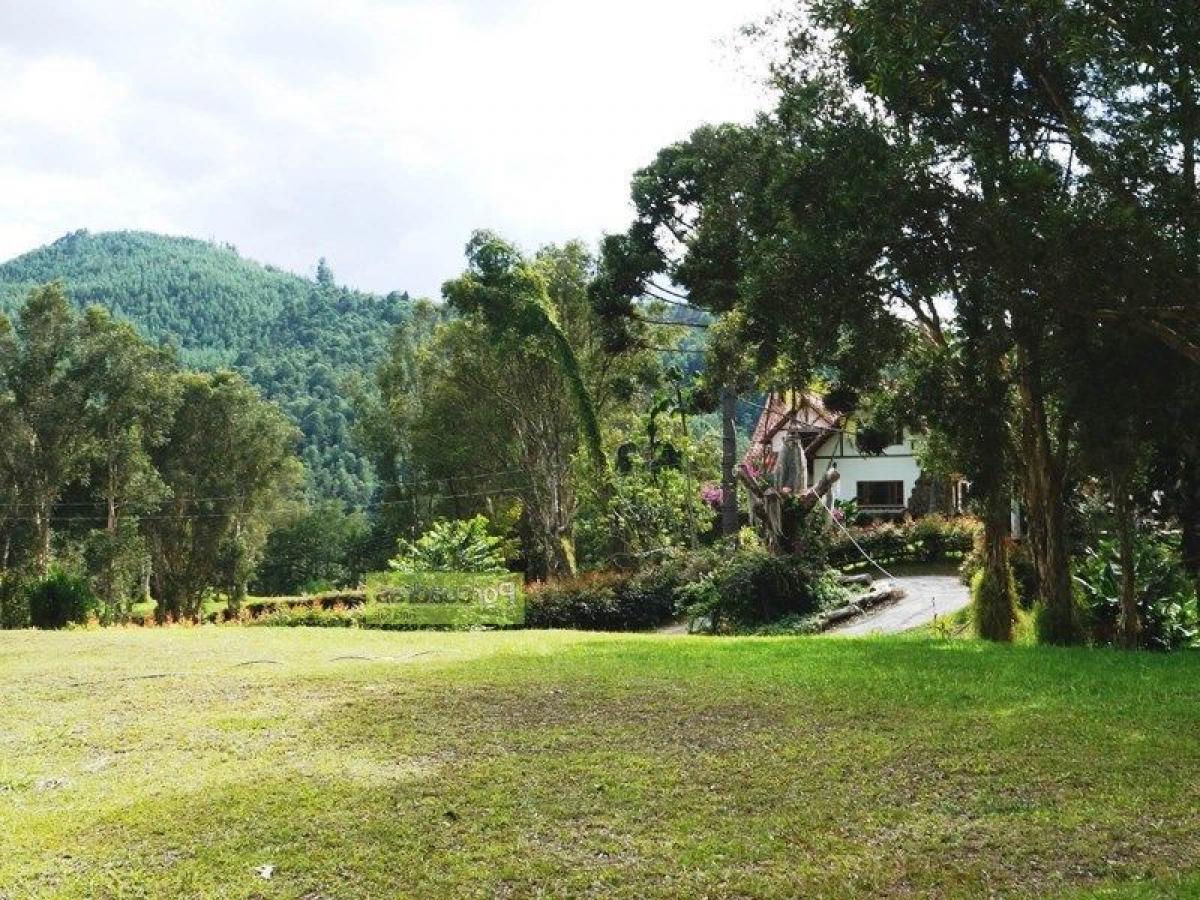 Terrain à Antioquia, Colombia No. 120