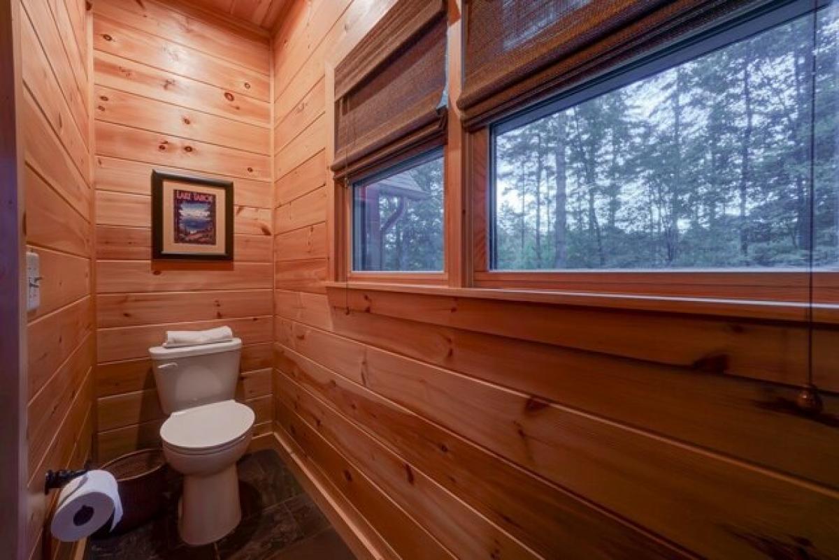 3 bedrooms House in Cherry Log, USA No. 436064