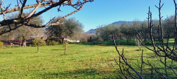 4-salle Maison à Garlenda, Italy No. 180550 34