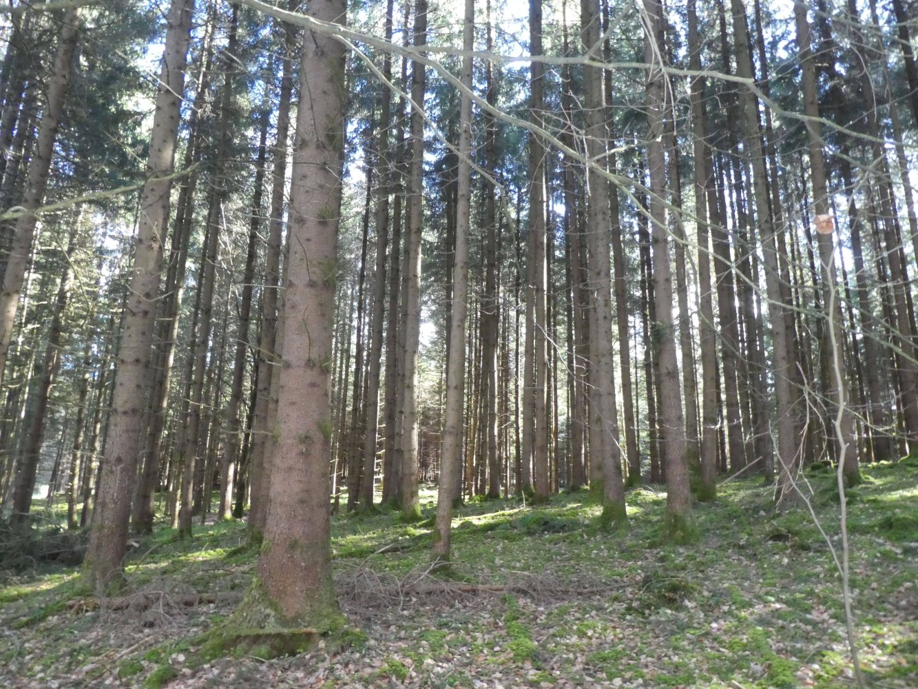 Terreno em Ravensburg, Germany N.º 65808