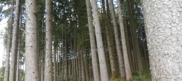 Terreno em Ravensburg, Germany N.º 65808 2