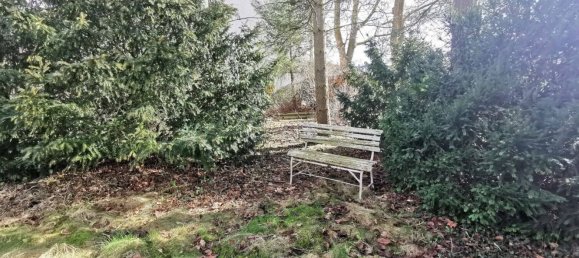 Terrain à Markisch-Oderland, Germany No. 93076 5