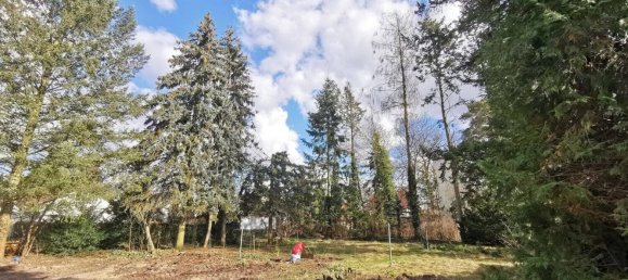 Terrain à Markisch-Oderland, Germany No. 93076 3