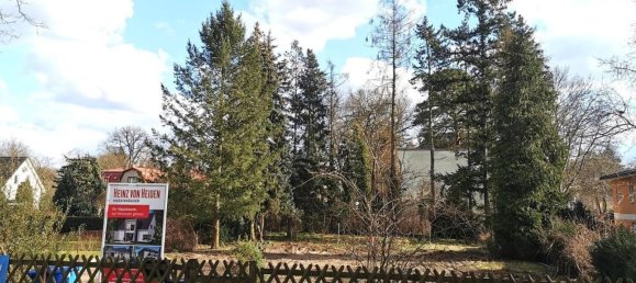 Terrain à Markisch-Oderland, Germany No. 93076 2