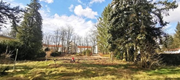 Terrain à Markisch-Oderland, Germany No. 93076 4