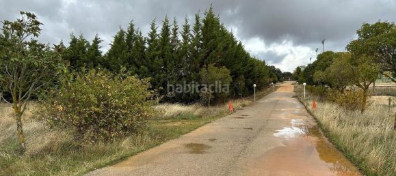 1419m² Warehouse in Madrid, Spain No. 163914 5