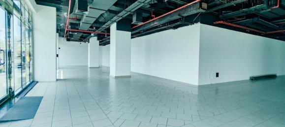 Tienda en Dubai Silicon Oasis, UAE 232.3 m² No. 54111 3