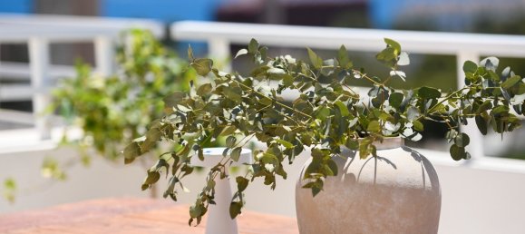 Ático de 4 dormitorios en Cas Catala, Spain No. 141453 4