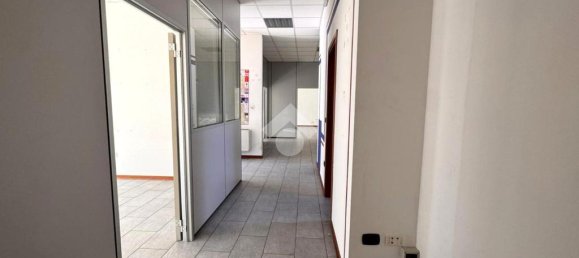 4-Zimmer Gewerbliche Immobilie in Selvazzano Dentro, Italy, Nr. 271806 9