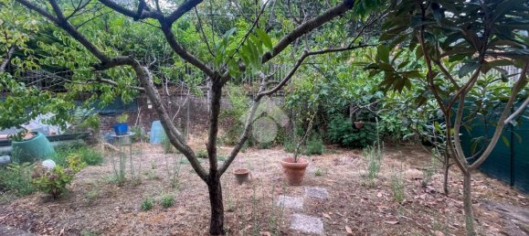 Коммерческая недвижимость с 5 комнатами в Кремона, Италия № 309952 15