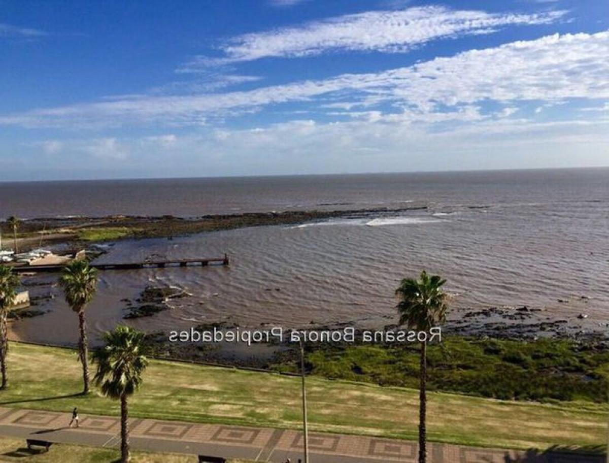 3 bedrooms Apartment in Montevideo, Uruguay No. 7377