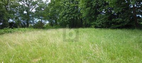 Земельный участок 4912м² в Любек, Германия № 221368 3